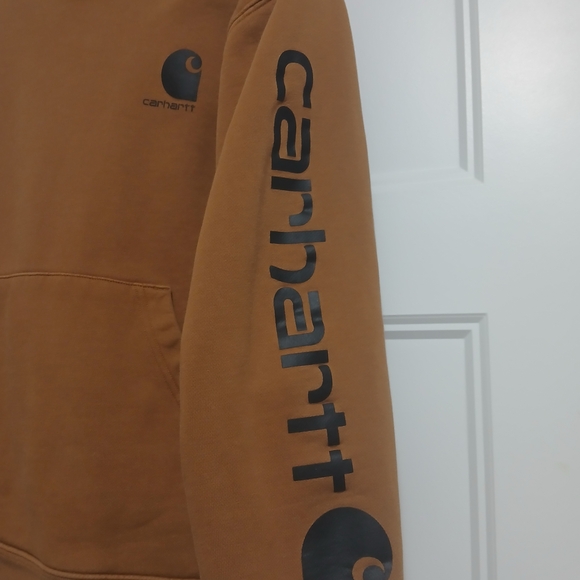 Carhartt Youth,unisex Brown Hoodie - Picture 2 of 6